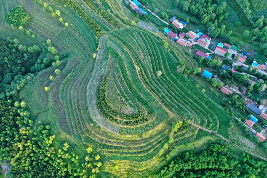 生態(tài)系統(tǒng)健康和管理——加強生態(tài)技術和工程管理，促進生態(tài)系統(tǒng)健康發(fā)展